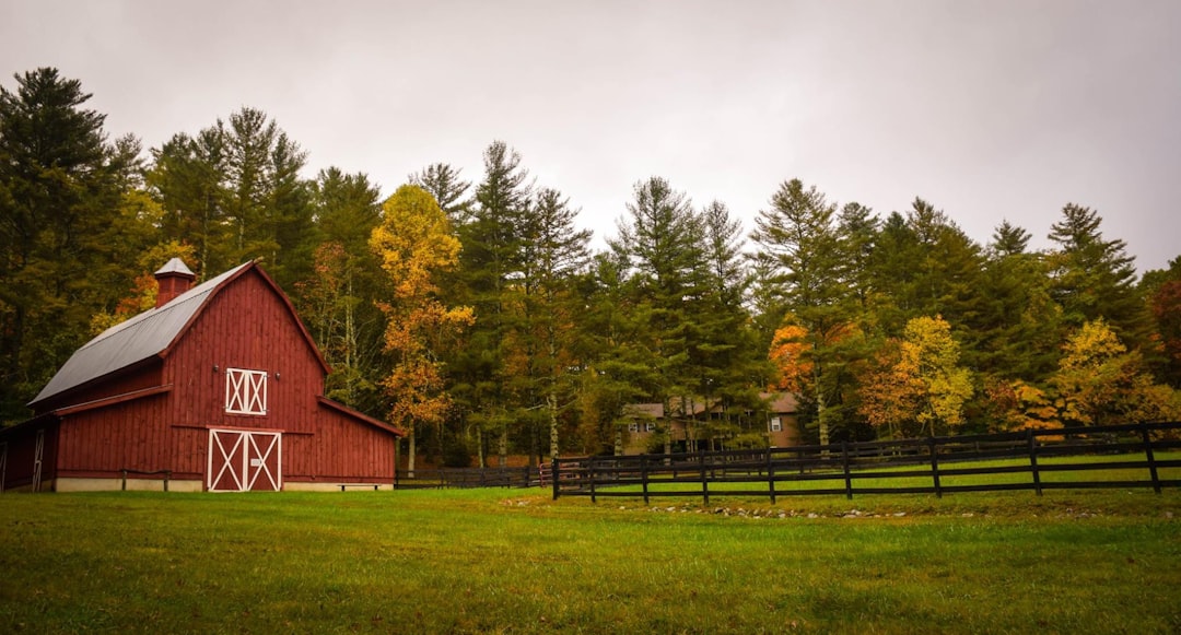 Photo Barn, House